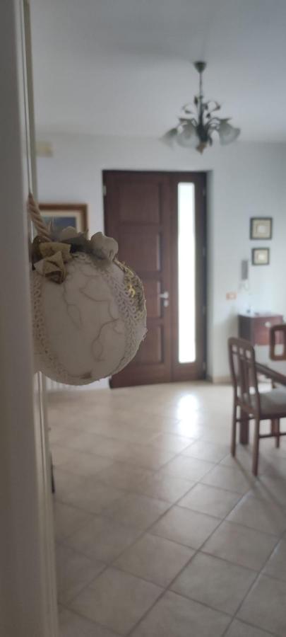 Dimora Nonna Angela Διαμέρισμα Αλμπερομπέλο Εξωτερικό φωτογραφία