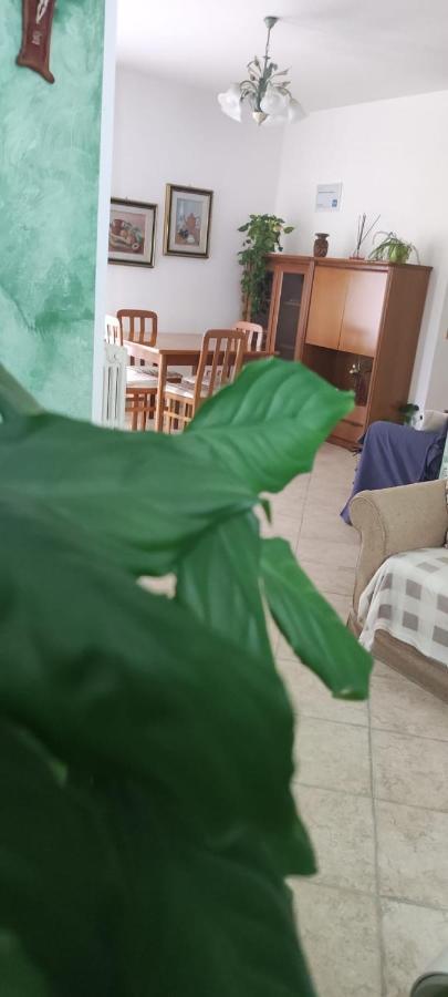 Dimora Nonna Angela Διαμέρισμα Αλμπερομπέλο Εξωτερικό φωτογραφία