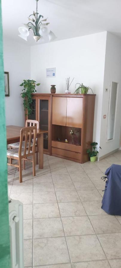 Dimora Nonna Angela Διαμέρισμα Αλμπερομπέλο Εξωτερικό φωτογραφία